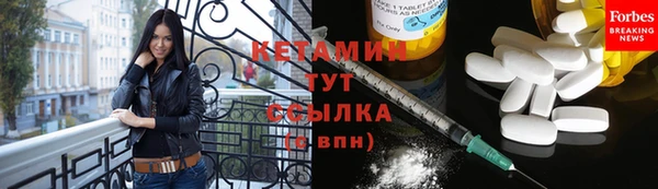 сатива Аркадак