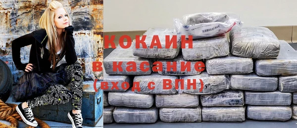сатива Аркадак