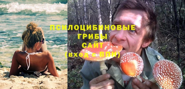 mdpv Арсеньев