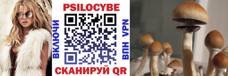 блэк спрут как войти  Озёры  Псилоцибиновые грибы Magic Shrooms 